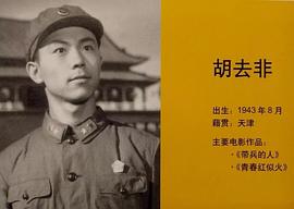 胡去非