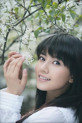 高圆圆