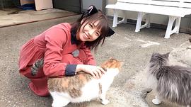户田真琴