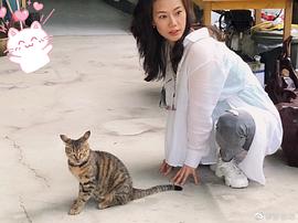 曹艳艳