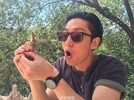 杨政