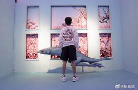 鲍嘉诚