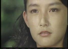 应采灵
