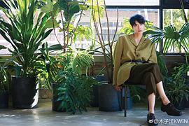 木子洋