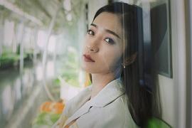 栾蕾英