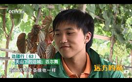 吴彦琦