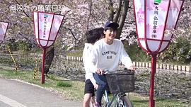 何洛洛