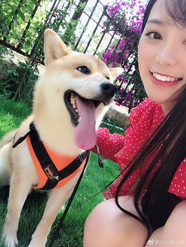 冷檬