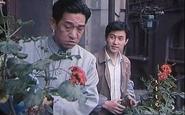 叶新民