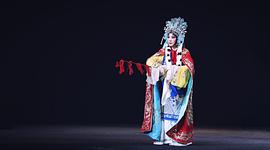 迟小秋