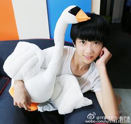 敖子逸