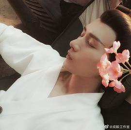 成毅