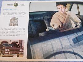 鳄渊晴子