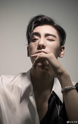 王子异