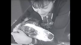 川村薰