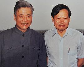 杨振宁