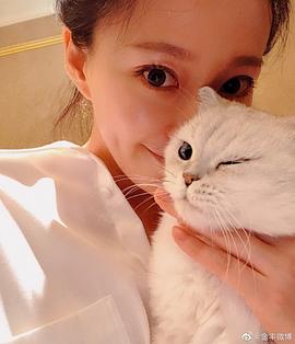 金丰