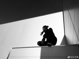 王子异