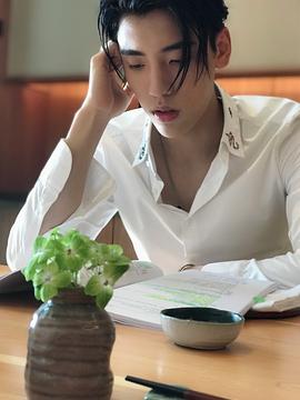 王子异
