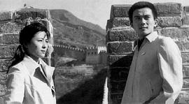 杨晓丹