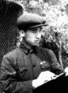 王树忱