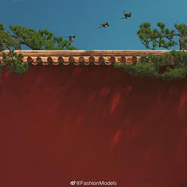 雎晓雯