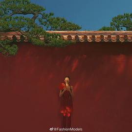 雎晓雯
