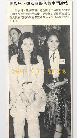 魏秋桦