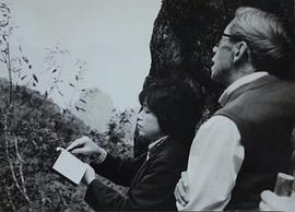 特伟