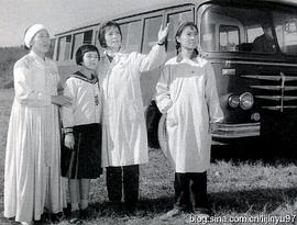 庞鹰