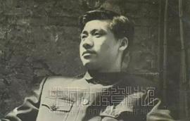 王树忱