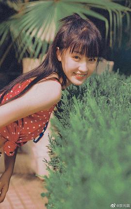 宋元圆