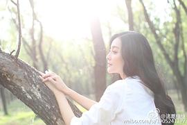 诸葛橙橙