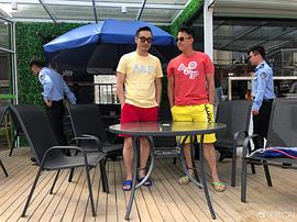 蔡鹭
