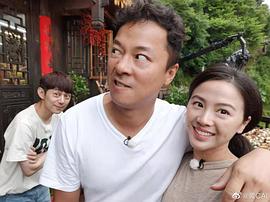 蔡鹭