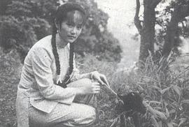 应采灵