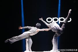 刘迦