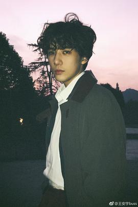 王安宇