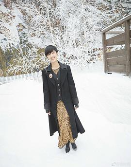 桂纶镁