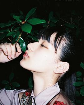 祷云母