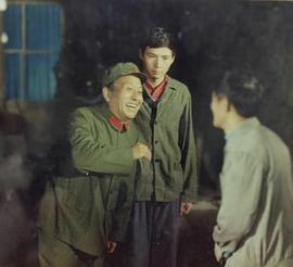 金奇