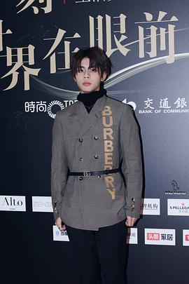 王晨艺