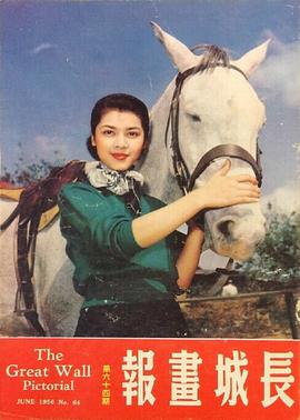陈思思