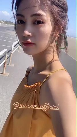 枫