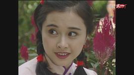 何美钿
