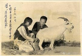 郑君里