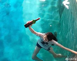 杨之楹