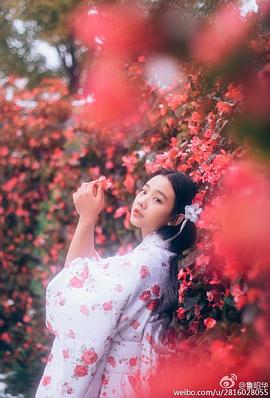 鲁照华