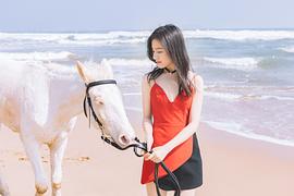 李兰迪