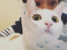 颜毓麟